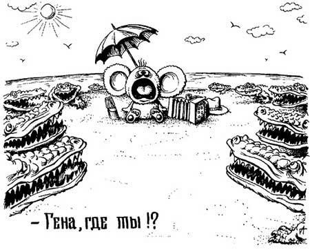 ���������