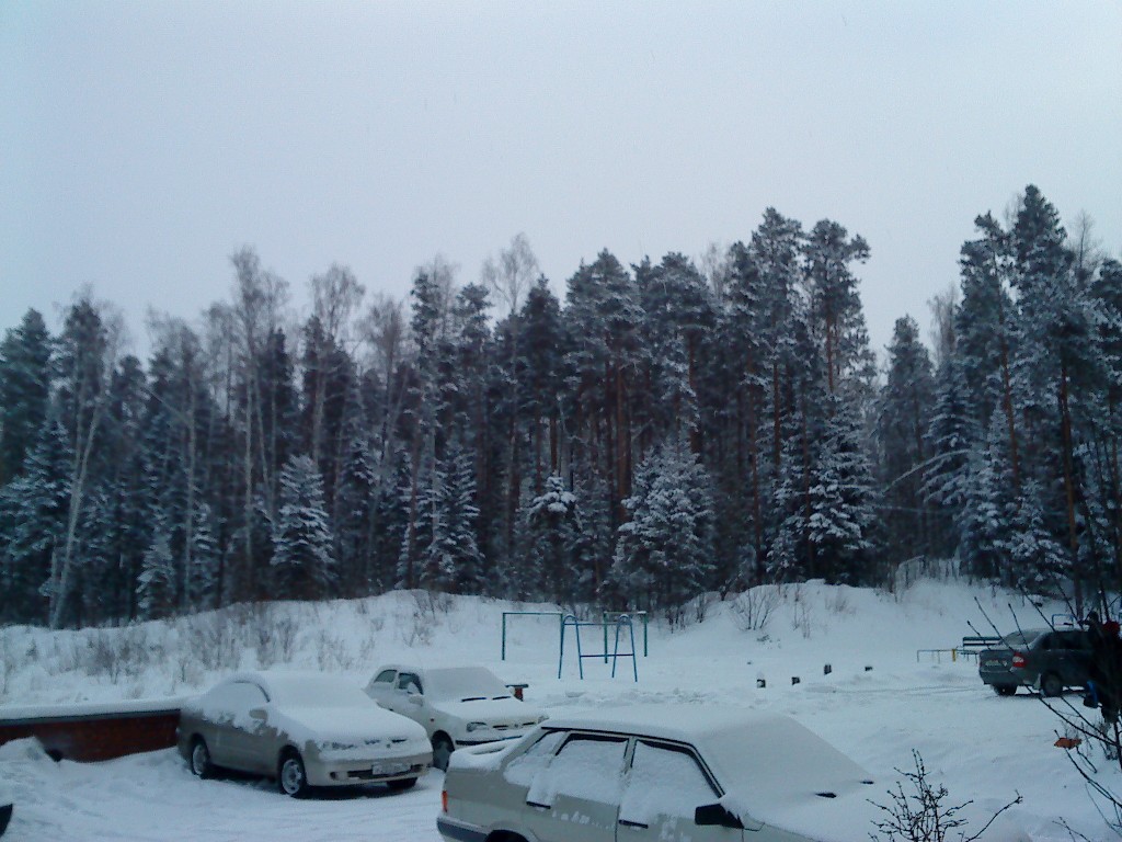 ���������