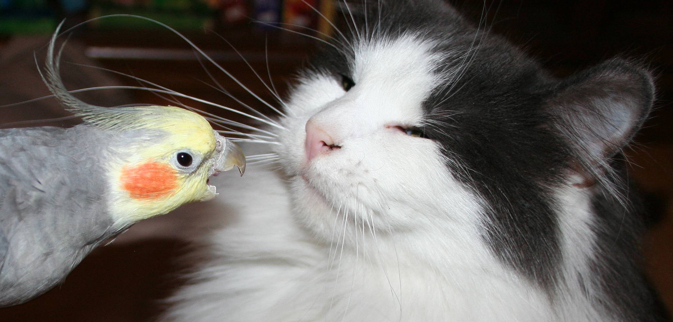 ���������