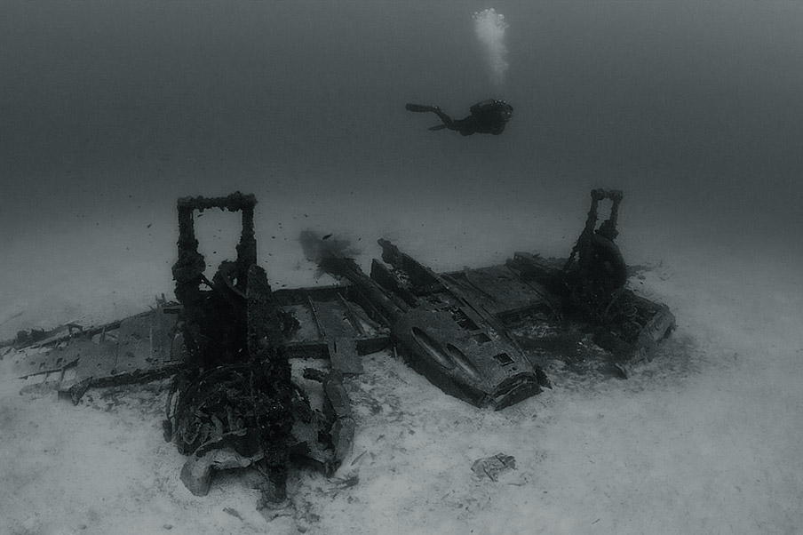 ���������