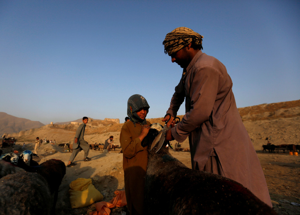 ���������