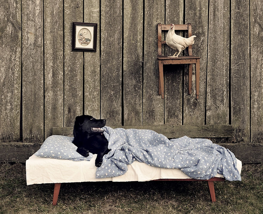 ���������