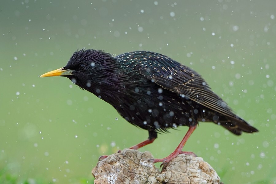 ���������