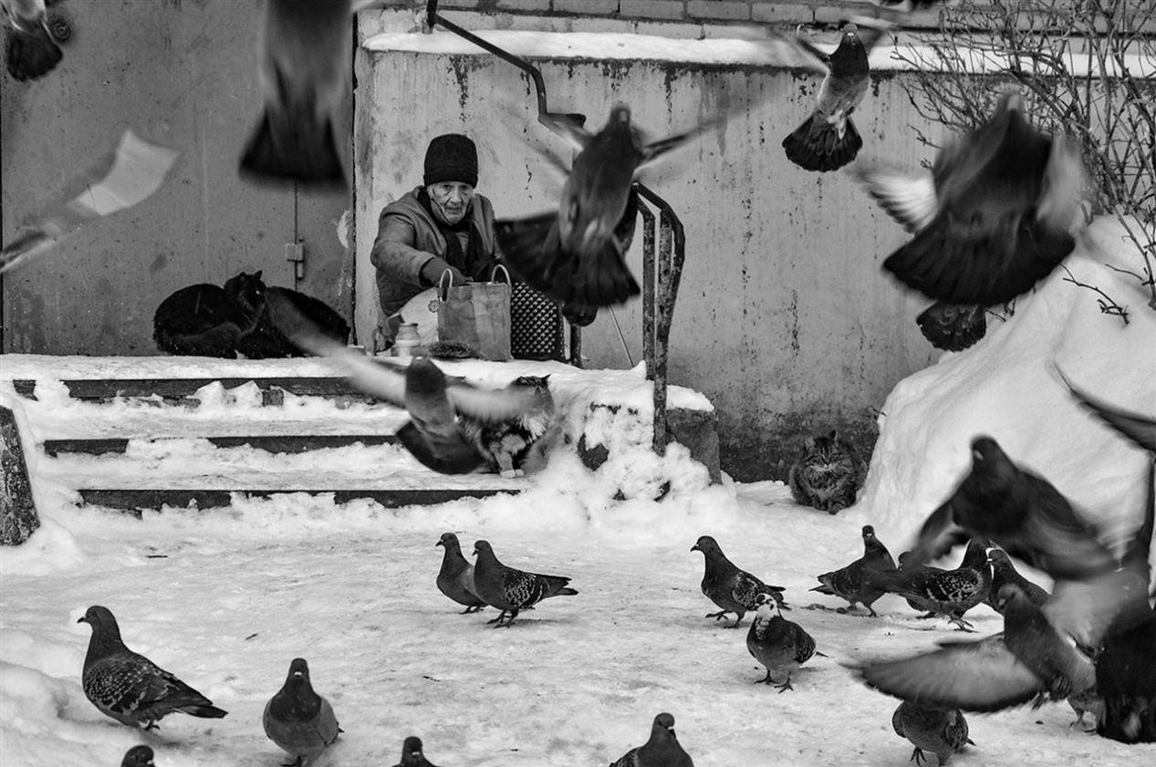 ���������