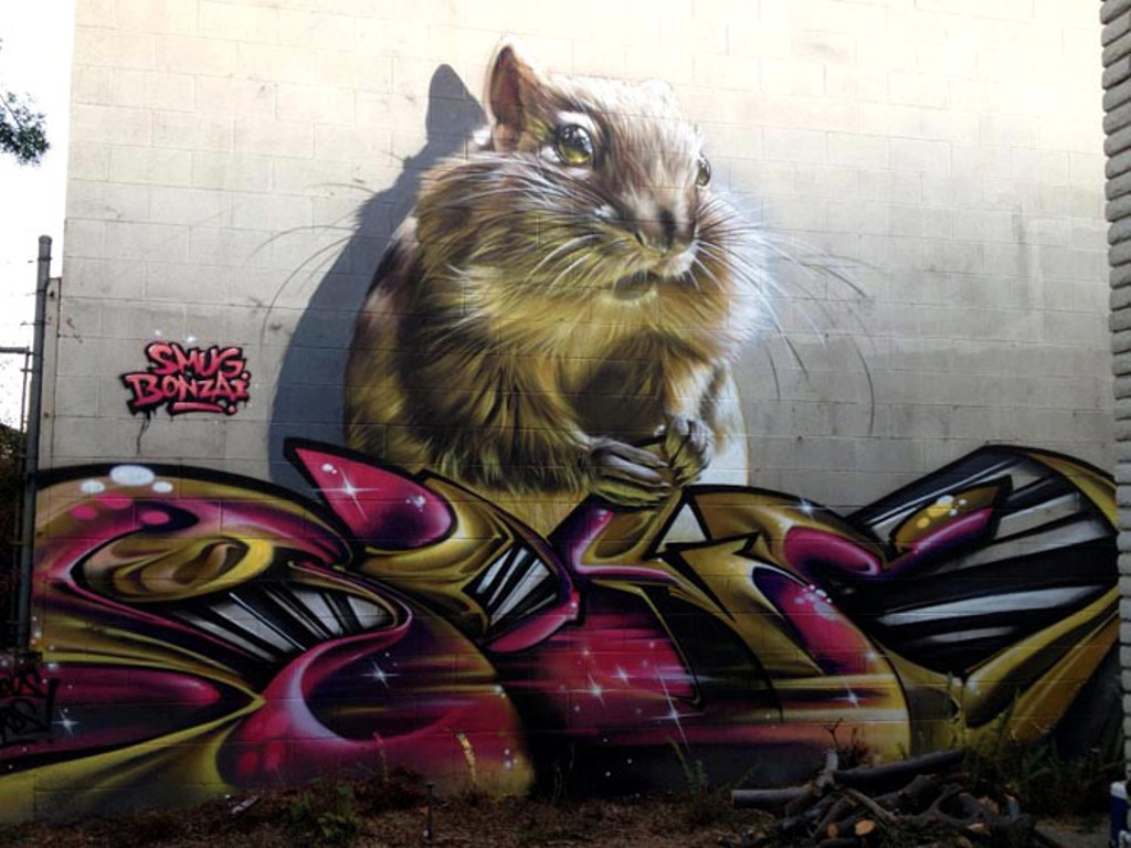 ���������