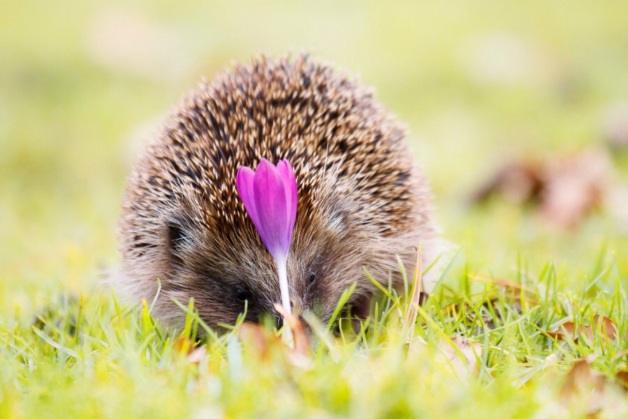 ���������