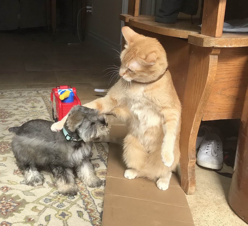 ���������