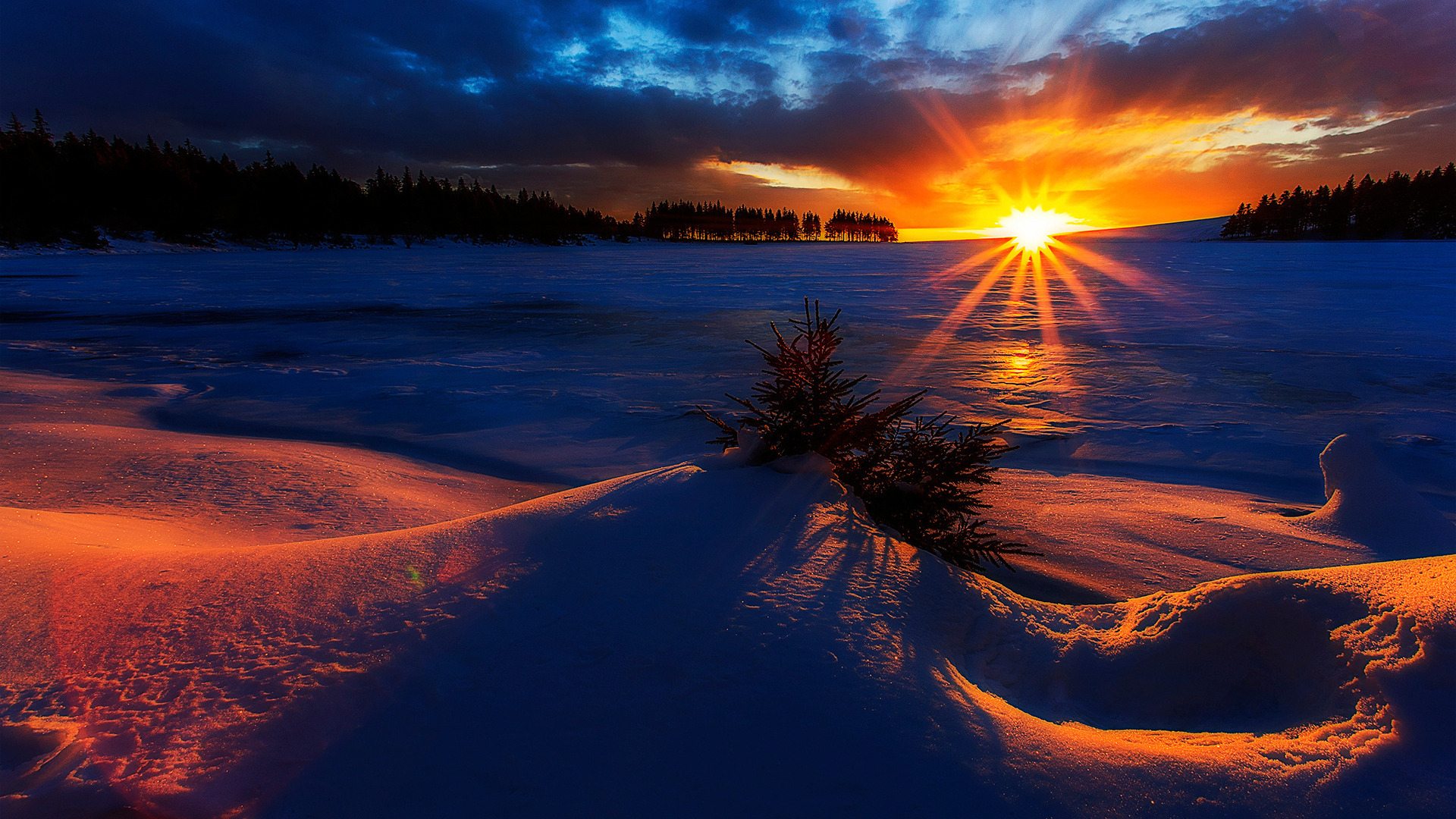 Увеличить Увеличить