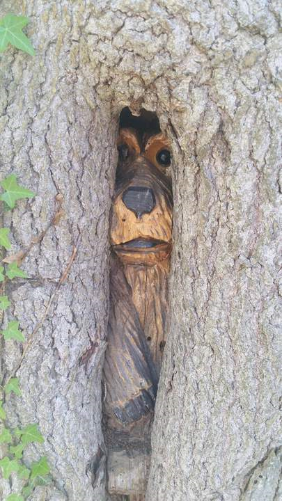 ���������