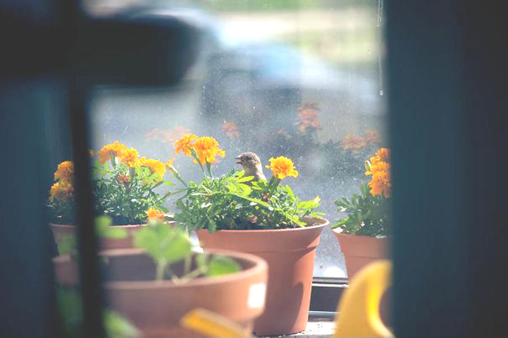 ���������