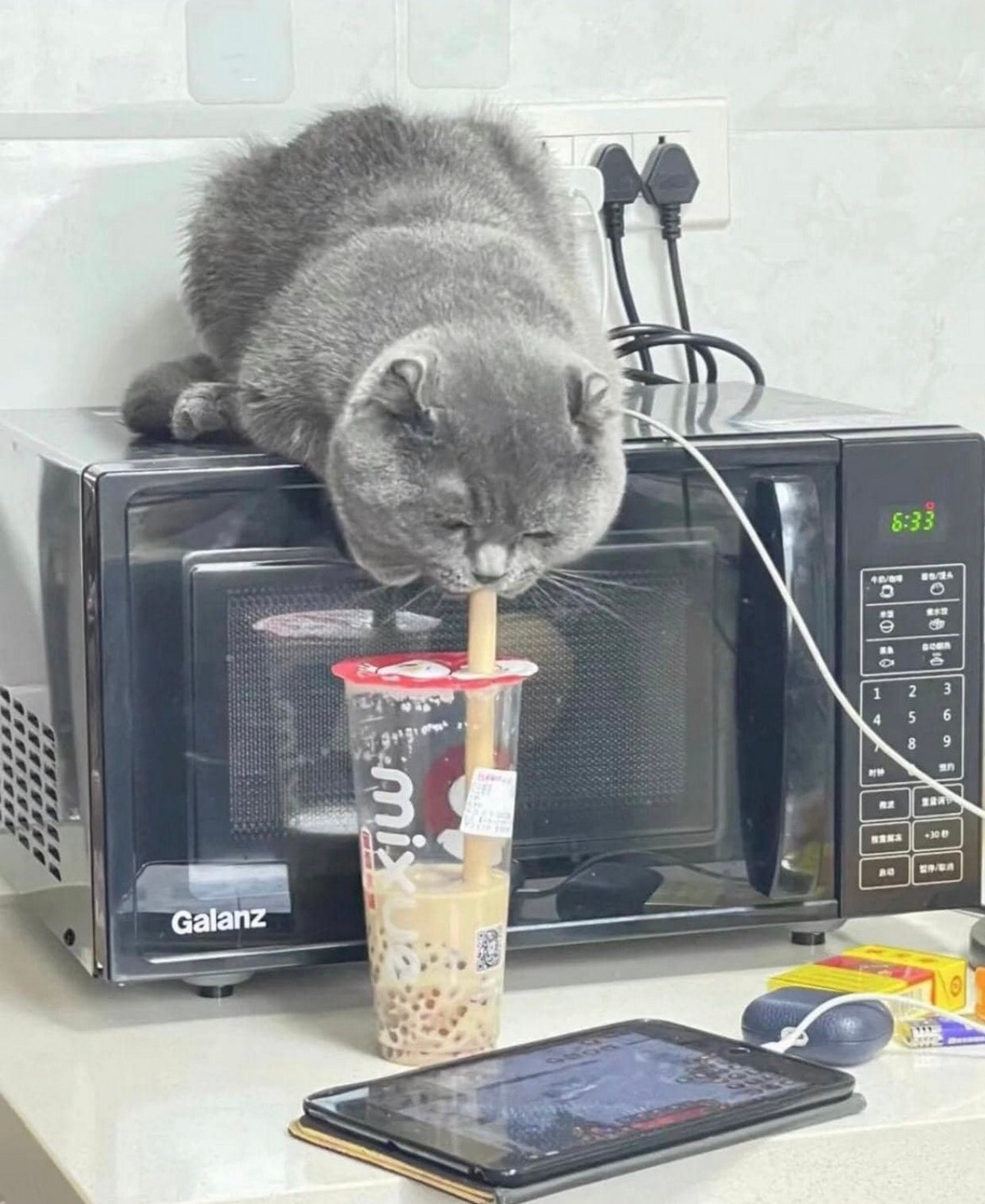 ���������