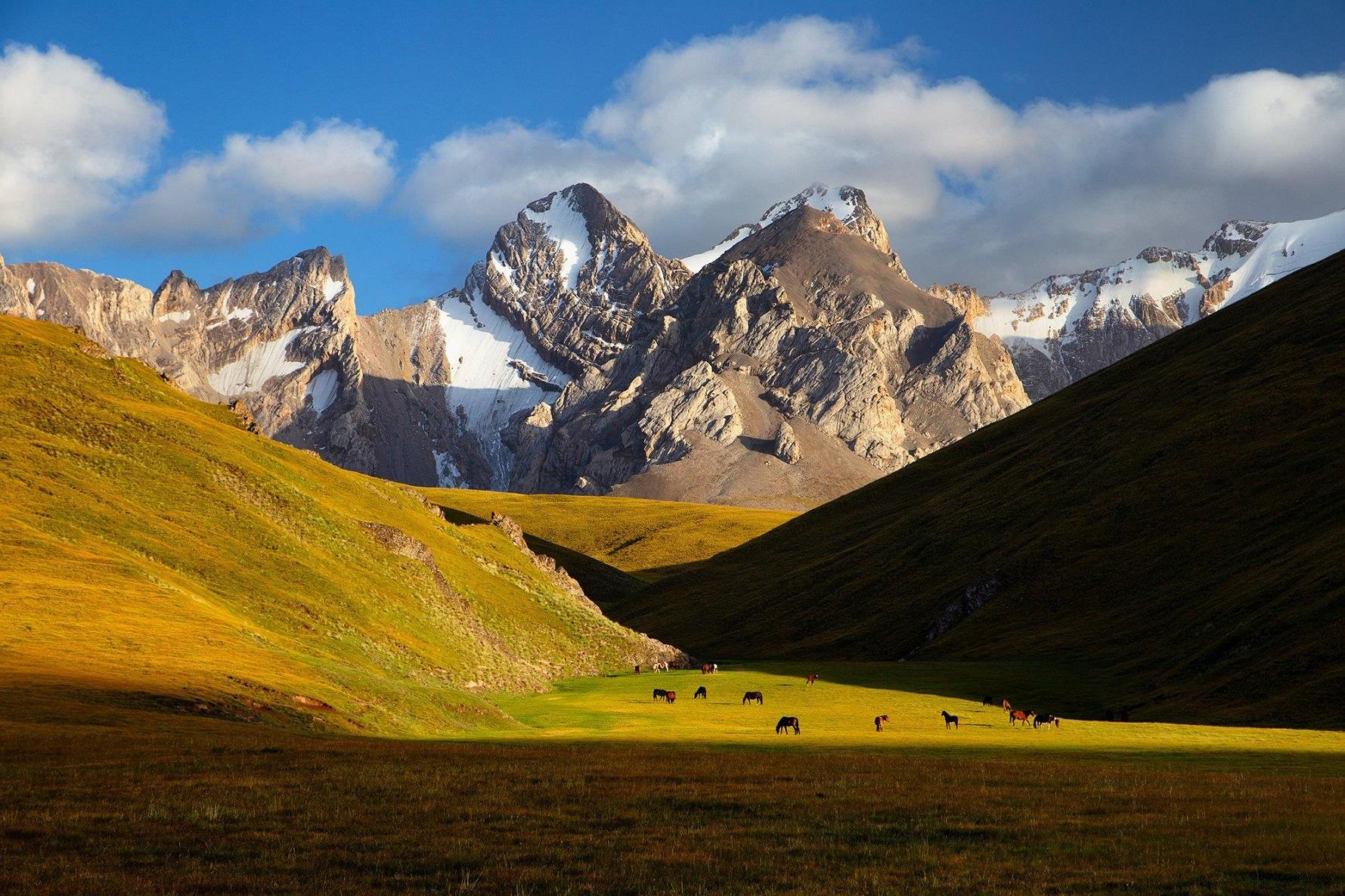 ���������