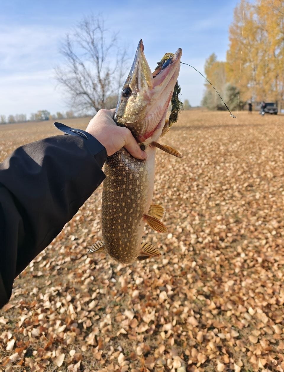 ���������