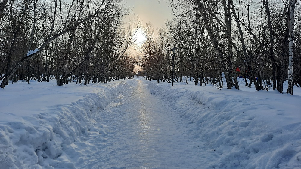 ���������