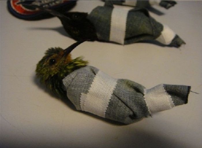 ���������