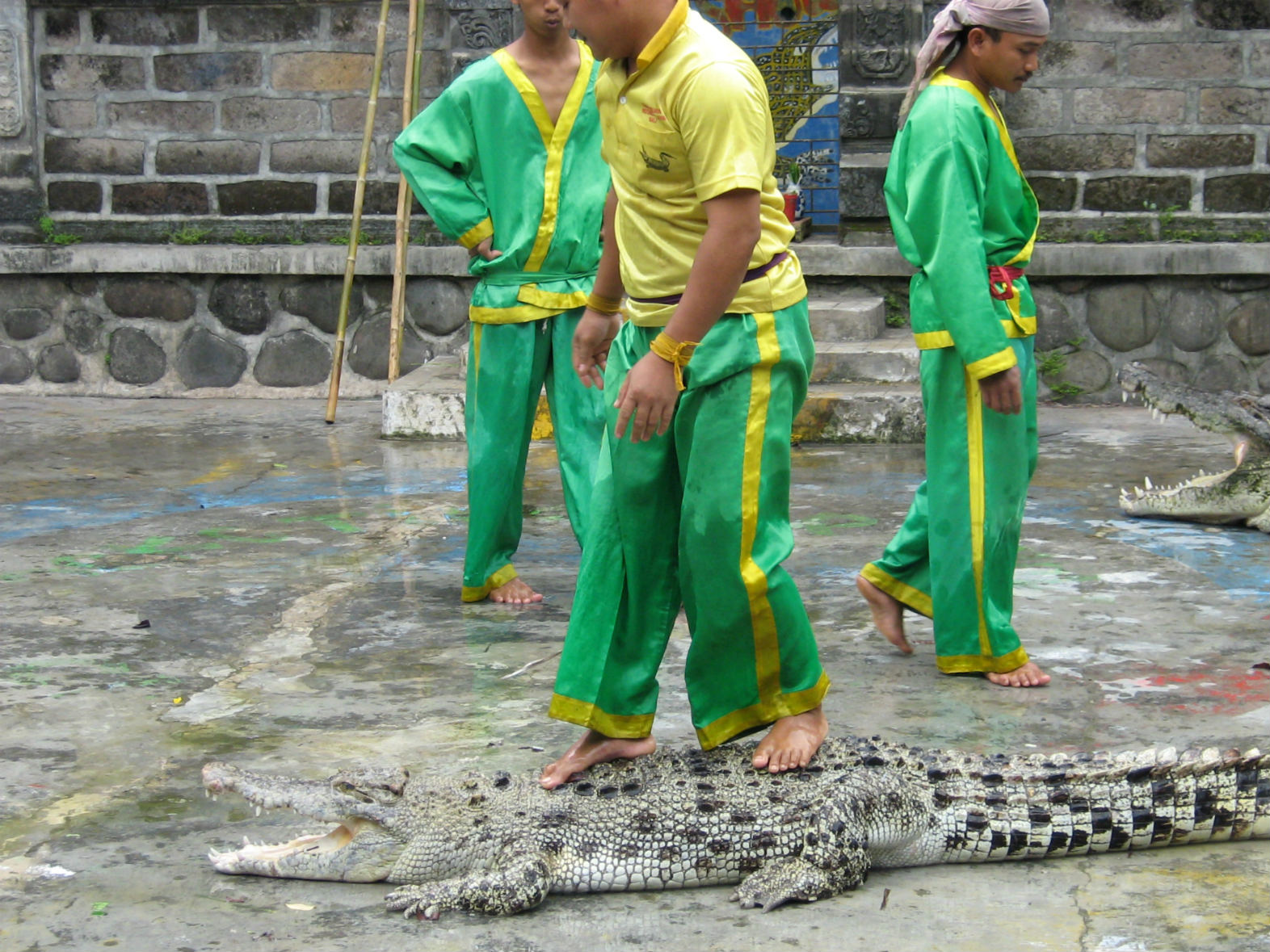 ���������