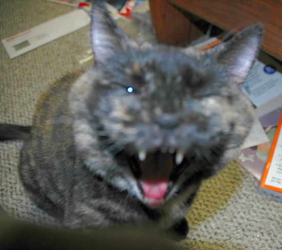 ���������