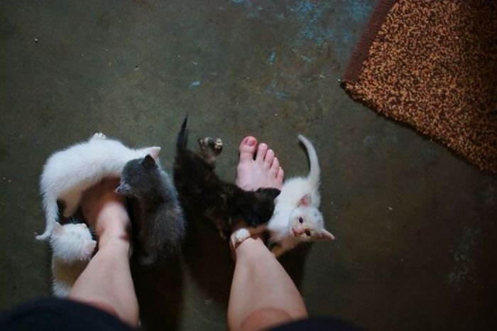 ���������