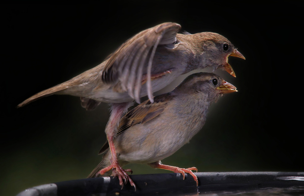 ���������