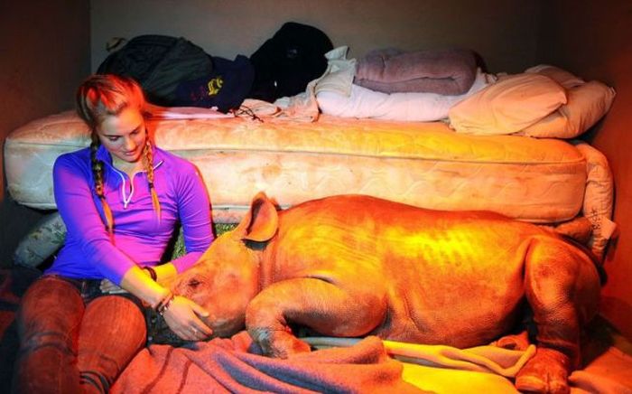 ���������