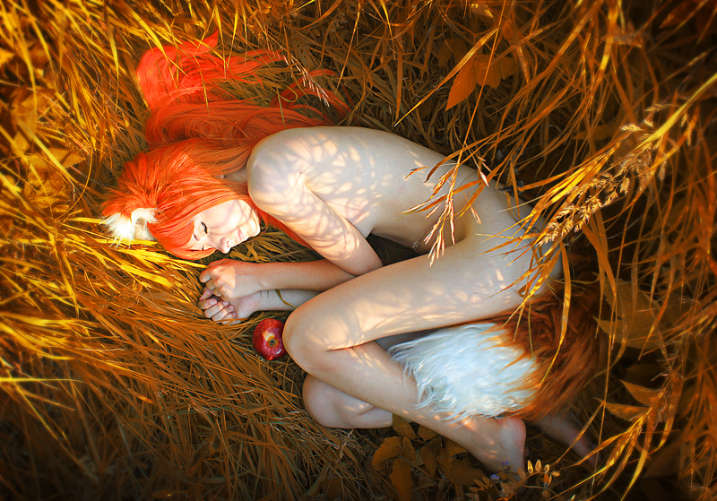 ���������