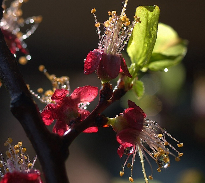 ���������