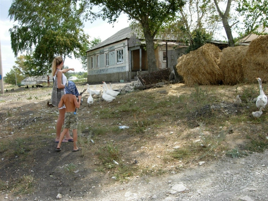 ���������