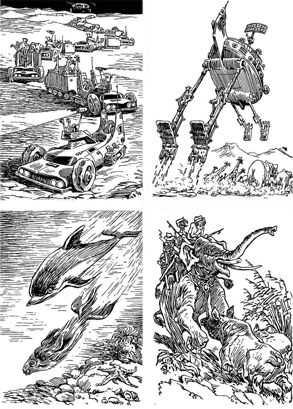 ���������