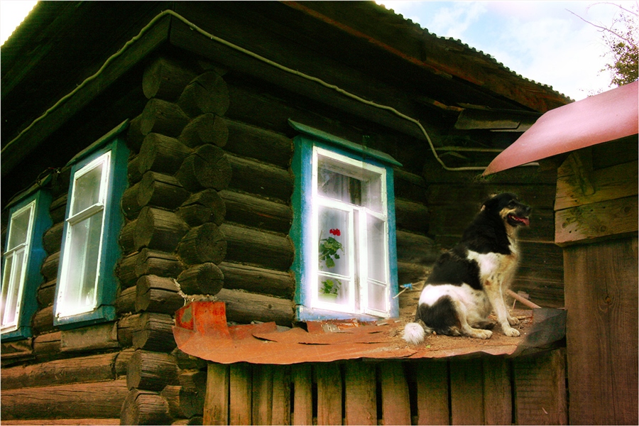 ���������