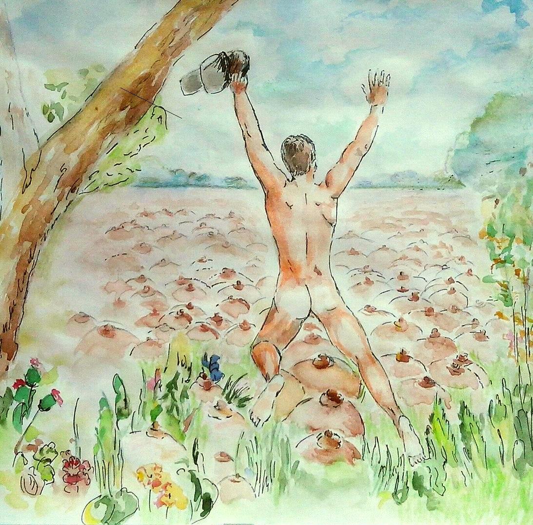 ���������