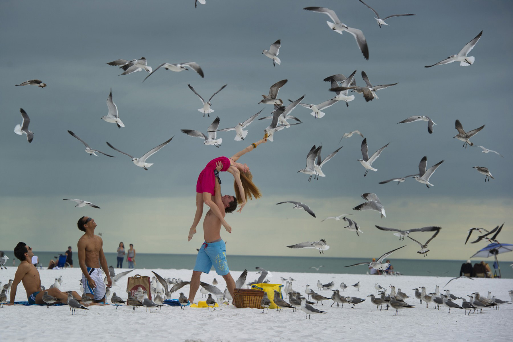 ���������