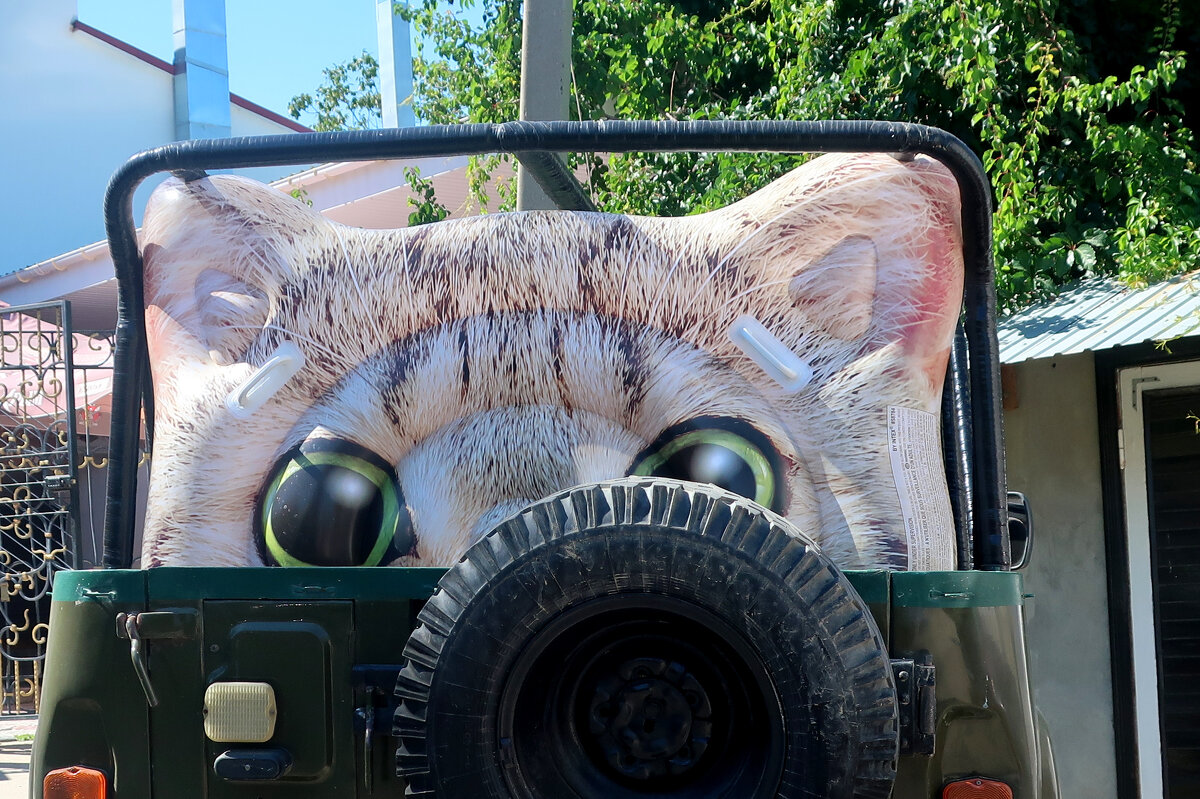 ���������