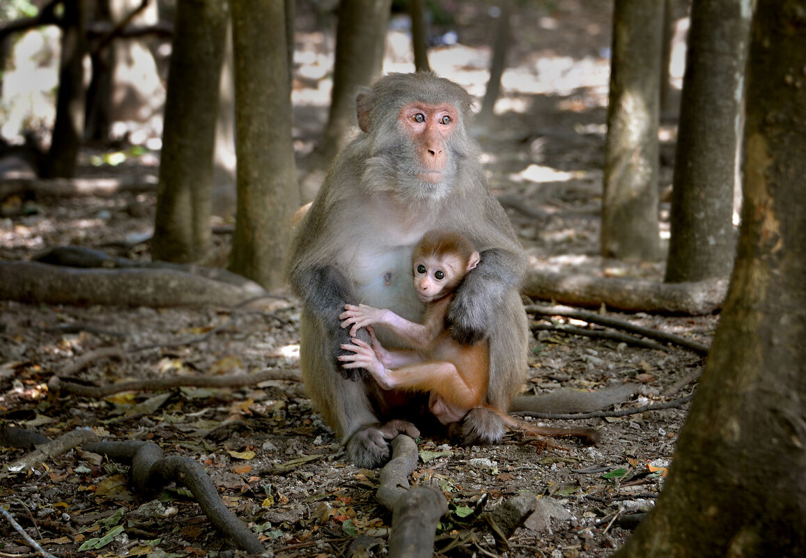 ���������