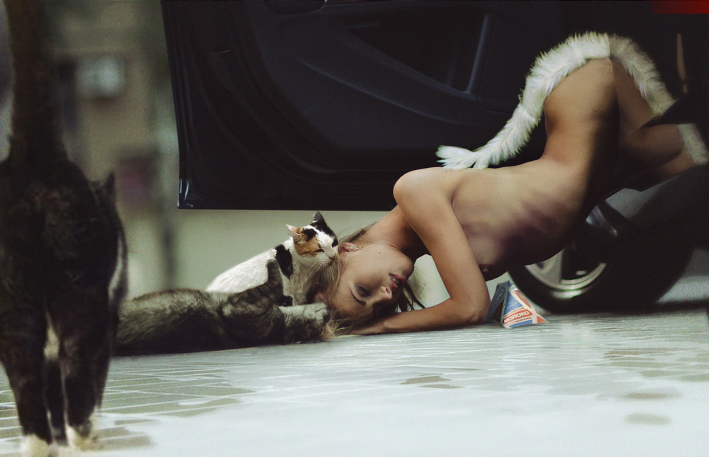 ���������