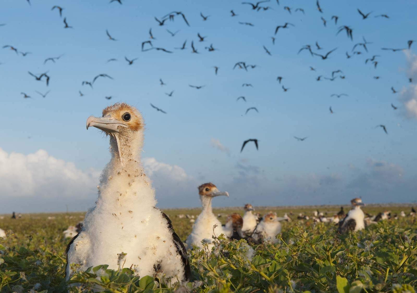 ���������