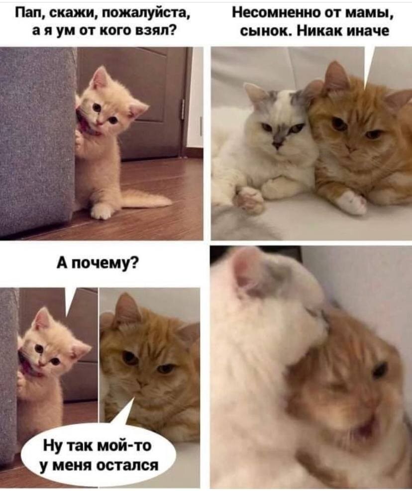 Увеличить Увеличить