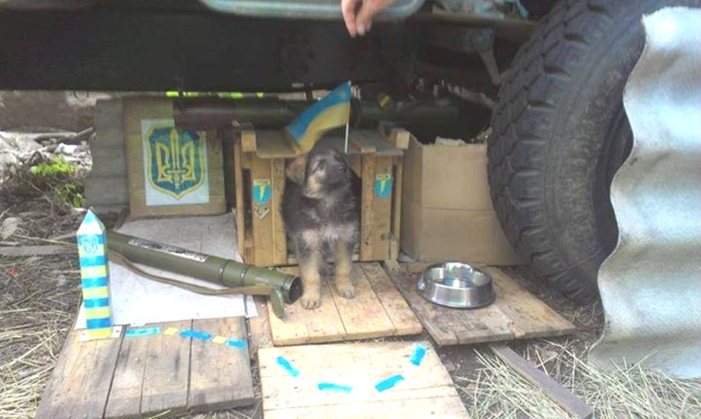 ���������