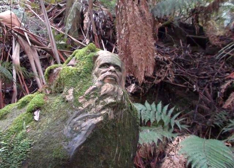 ���������