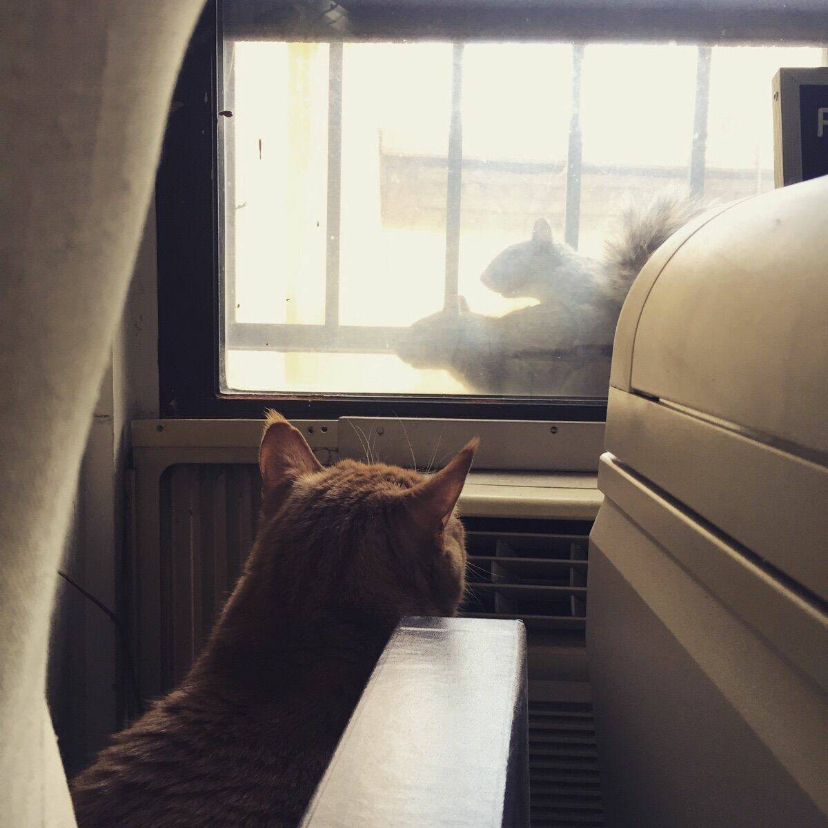 ���������