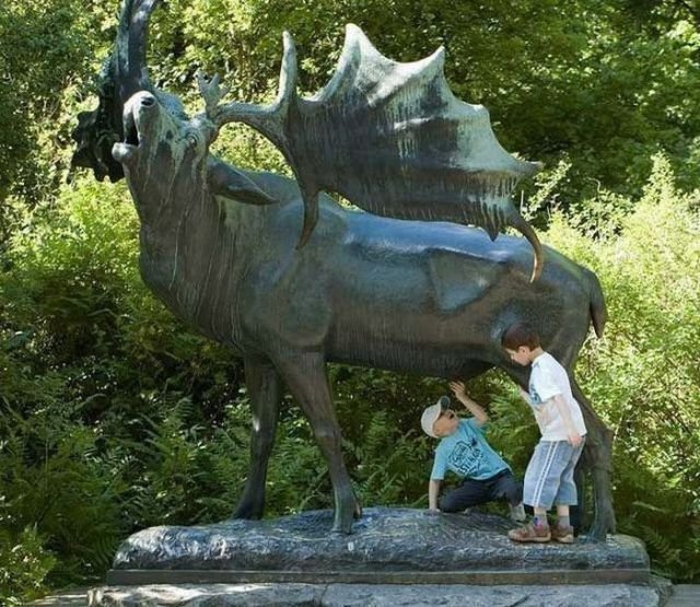 ���������