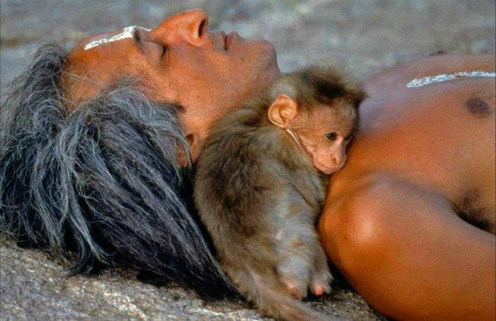 ���������