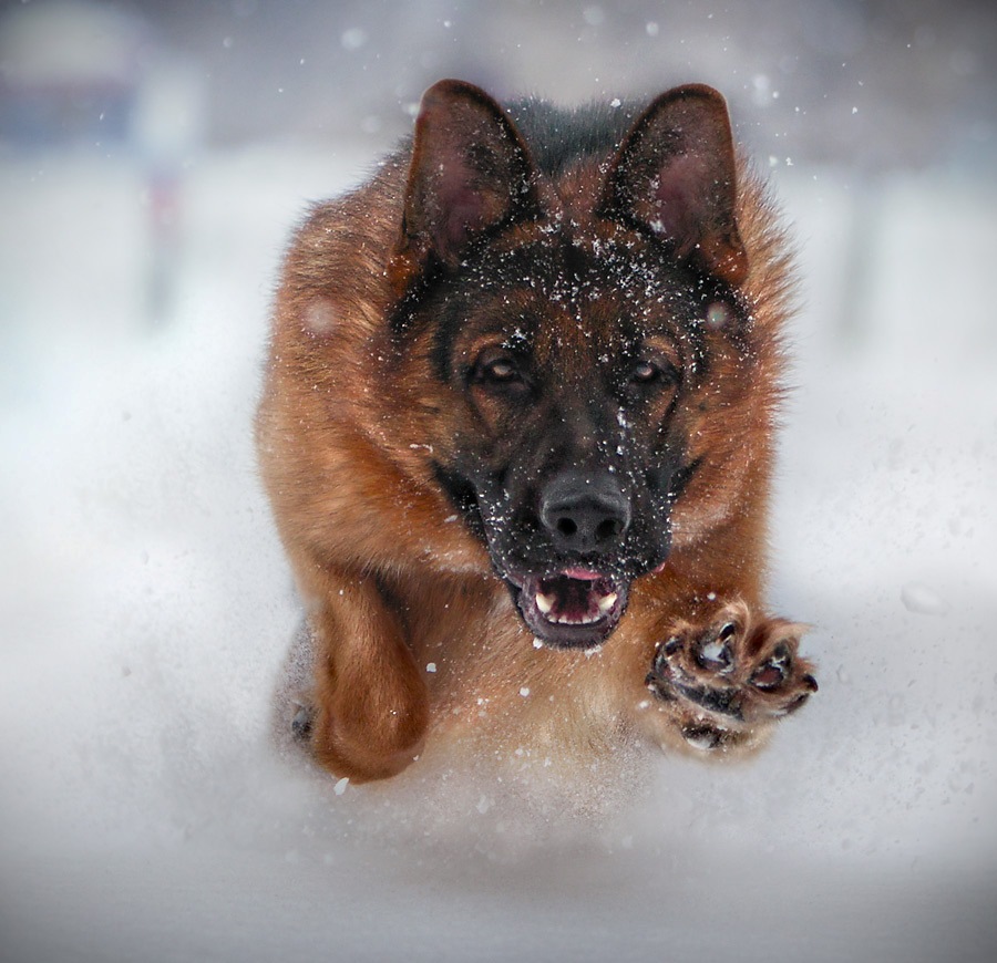 ���������