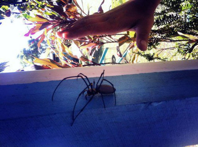 ���������