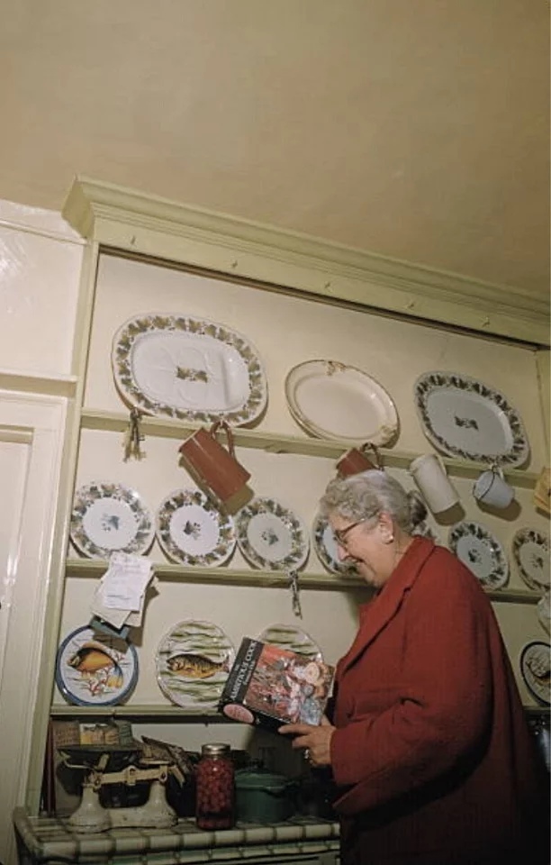 ���������