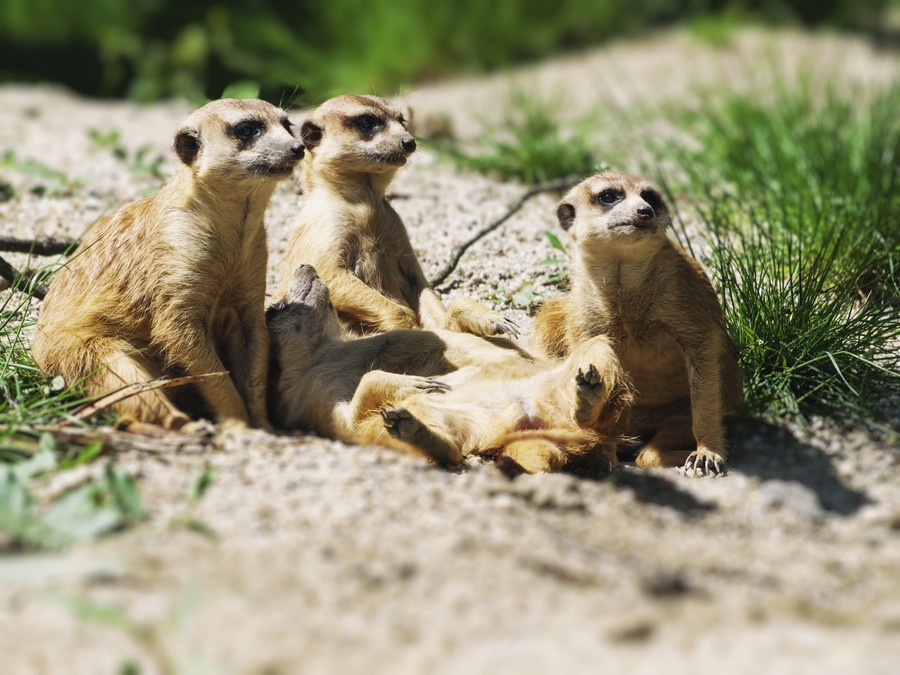 ���������