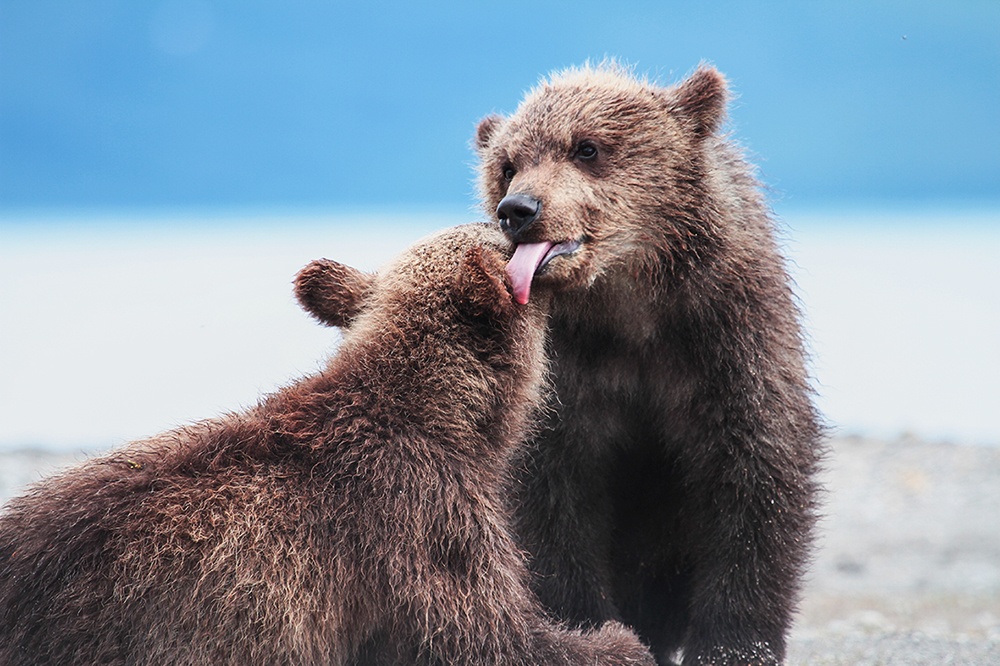 ���������