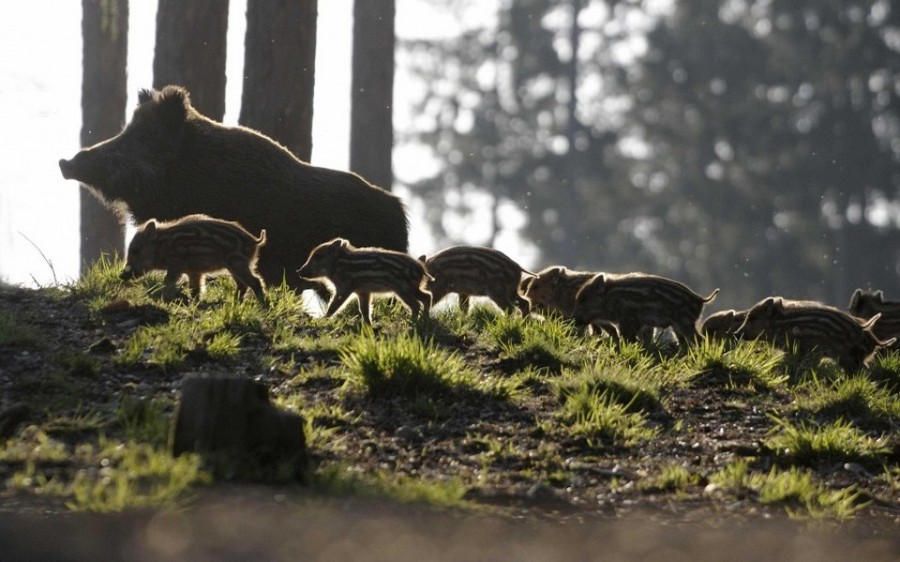 ���������