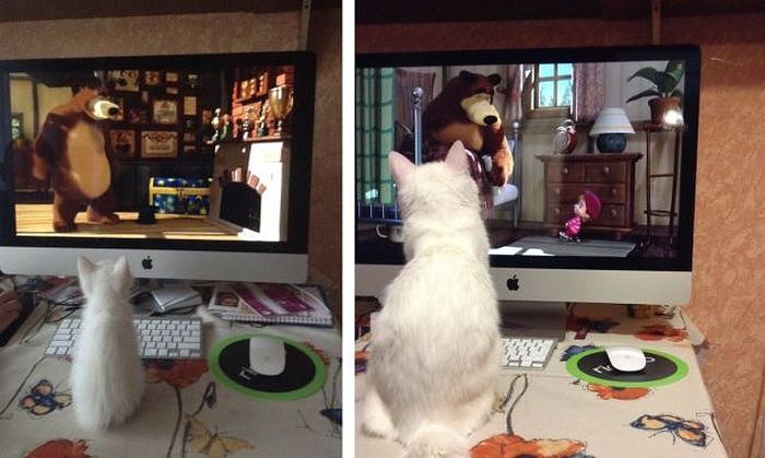 ���������