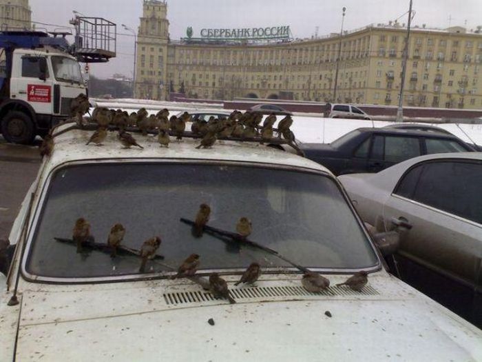 ���������