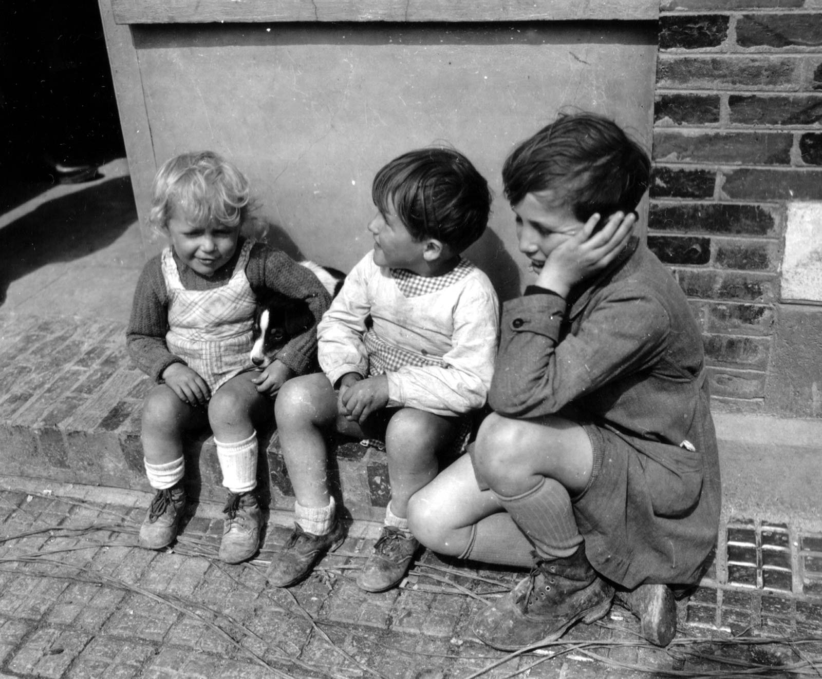 ���������